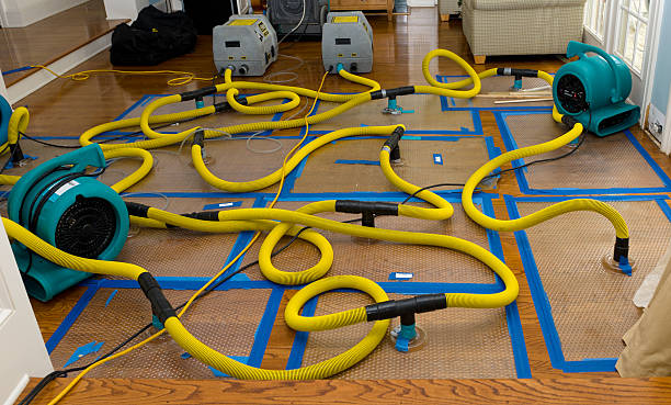Professional Crawl Space Water Removal technician working in East Rochester, NY